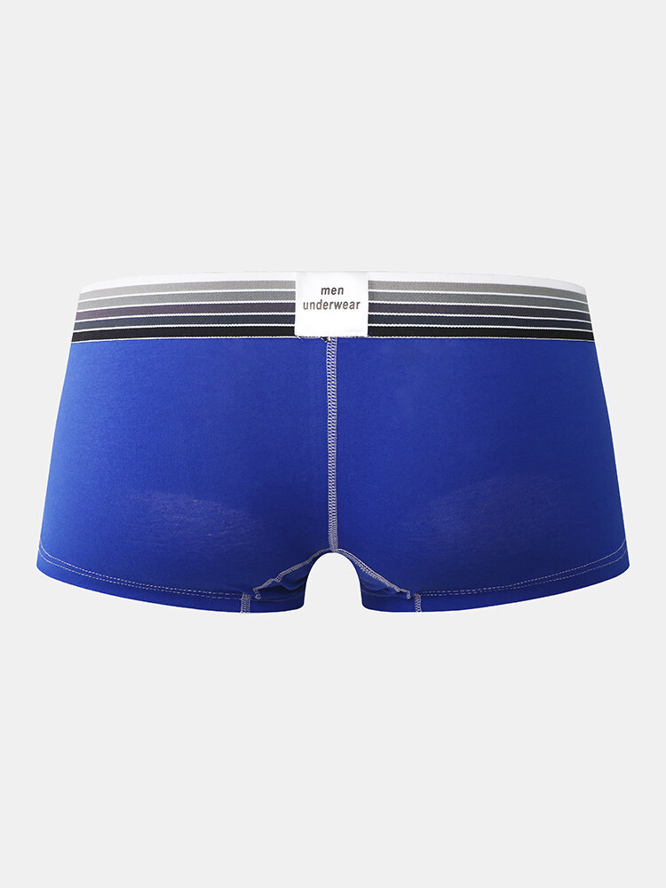 
	Cozy Plain Low Rise Pouch Underwear Sexy Breathable Mini Boxer Briefs for Men
