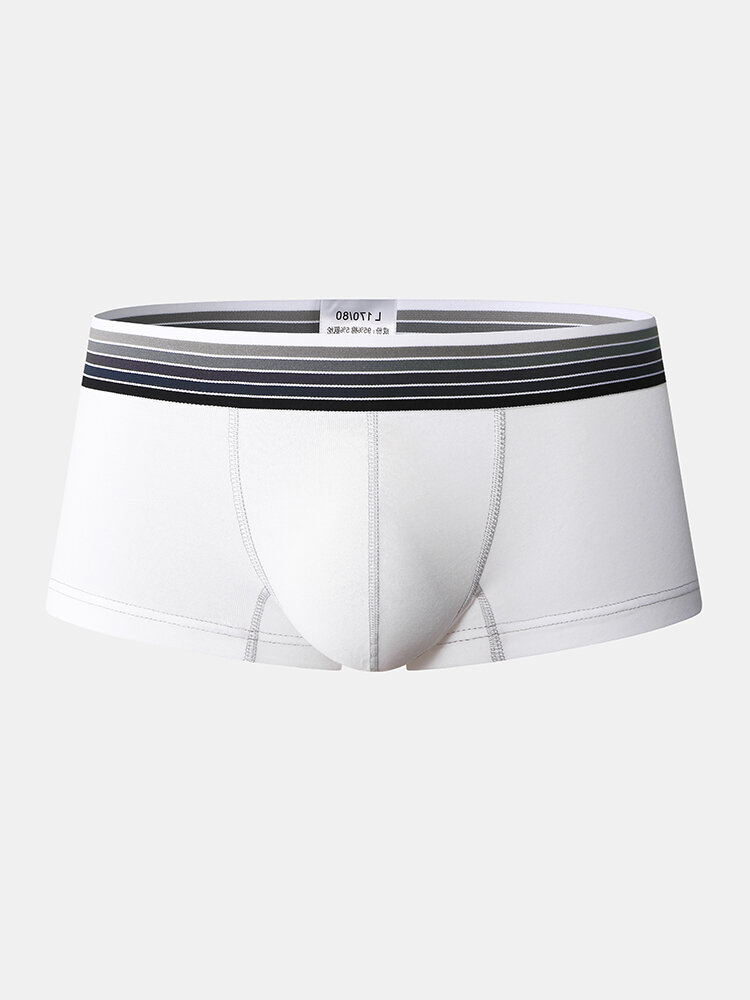 
	Cozy Plain Low Rise Pouch Underwear Sexy Breathable Mini Boxer Briefs for Men